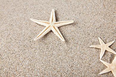 前星鸣特攻开发者力挺《马拉松》：给Bungie一个机会